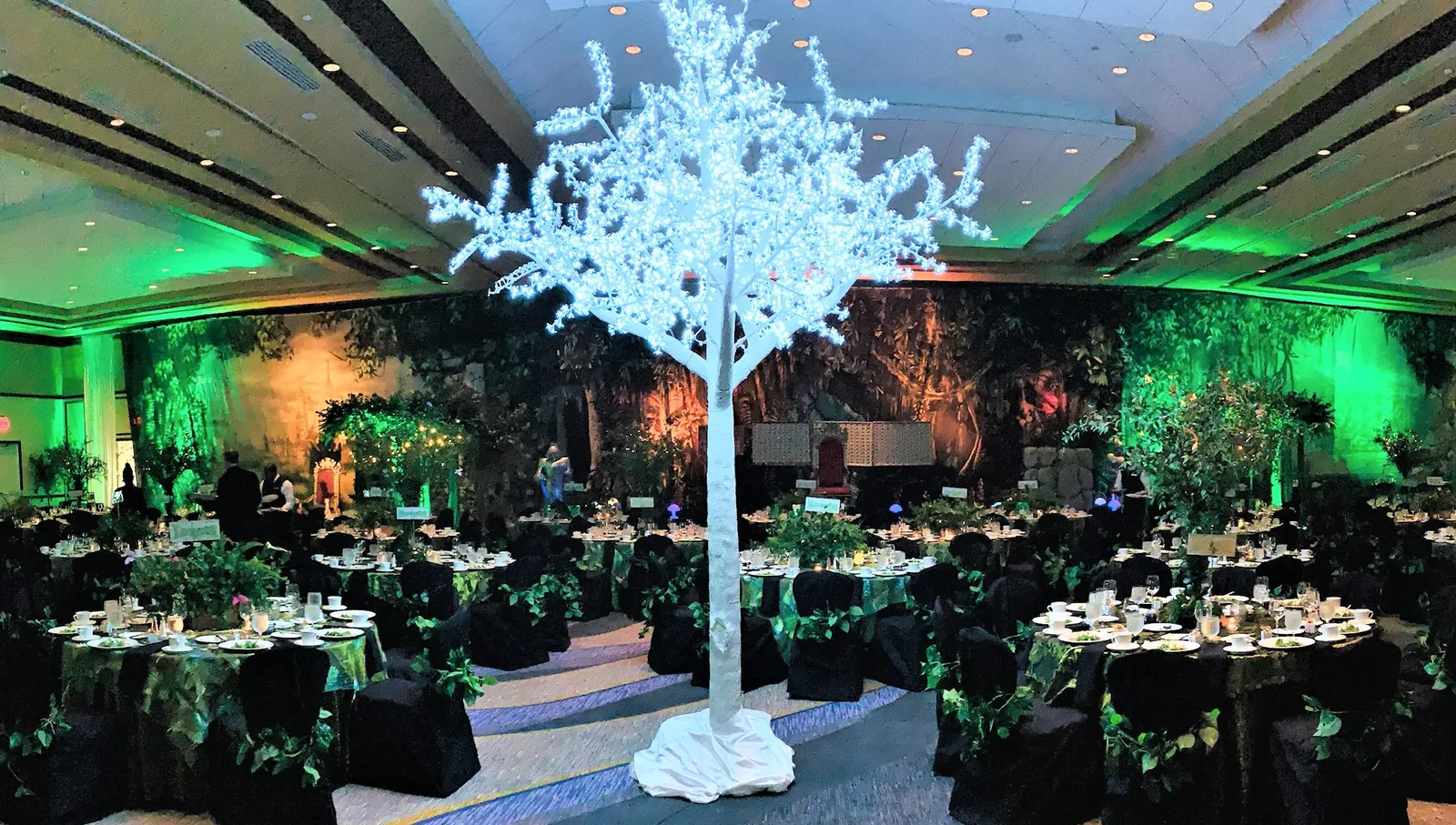 Enchanted Forest