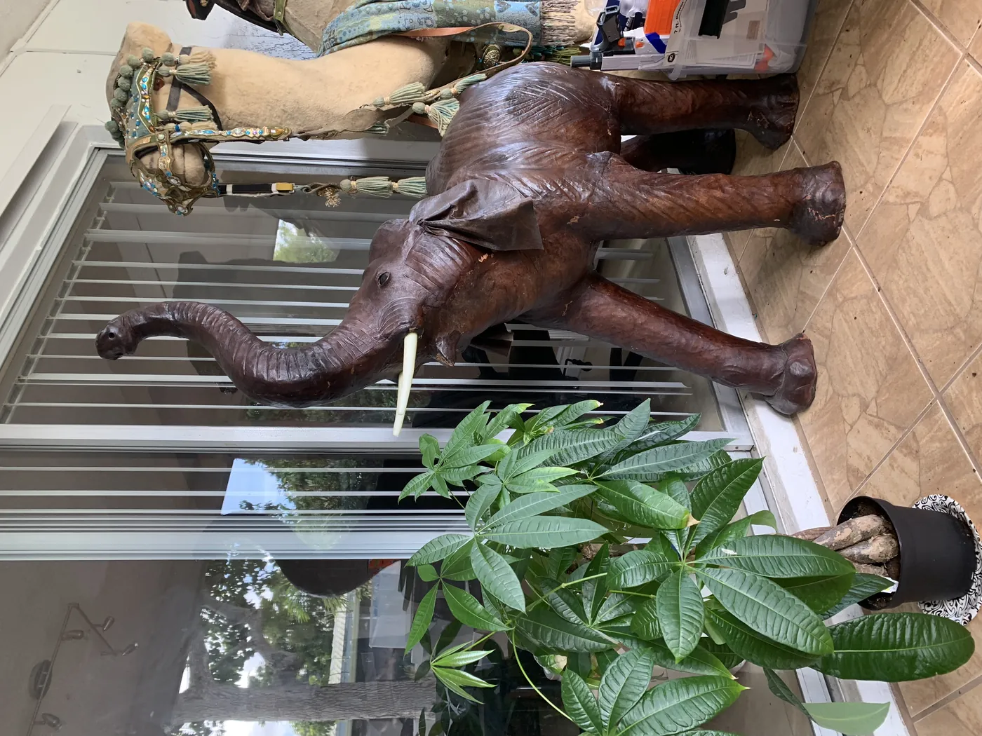 Baby Elephantleather