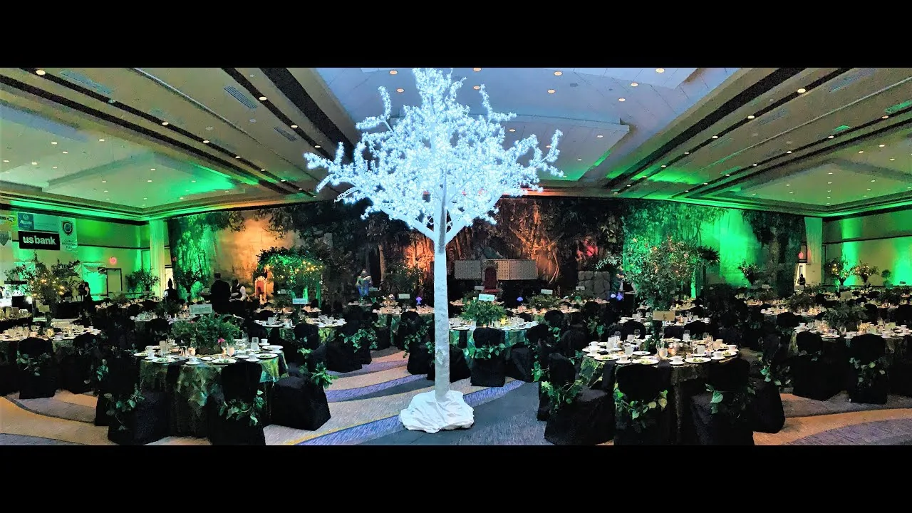 Enchanted Forest themed party